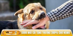 Nằm mơ thấy chó cắn nên đánh con gì để tăng tỷ lệ trúng 80%