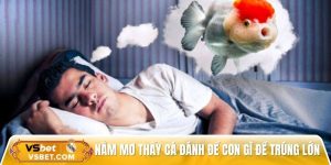 Nằm mơ thấy cá đánh đề con gì để trúng lớn 100% khi tham gia