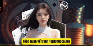 Top10nhacai.biz – Trang tổng hợp top những nhà cái chất lượng