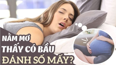 Nằm mơ thấy bầu - Cẩm nang dành cho người yêu thích lô đề